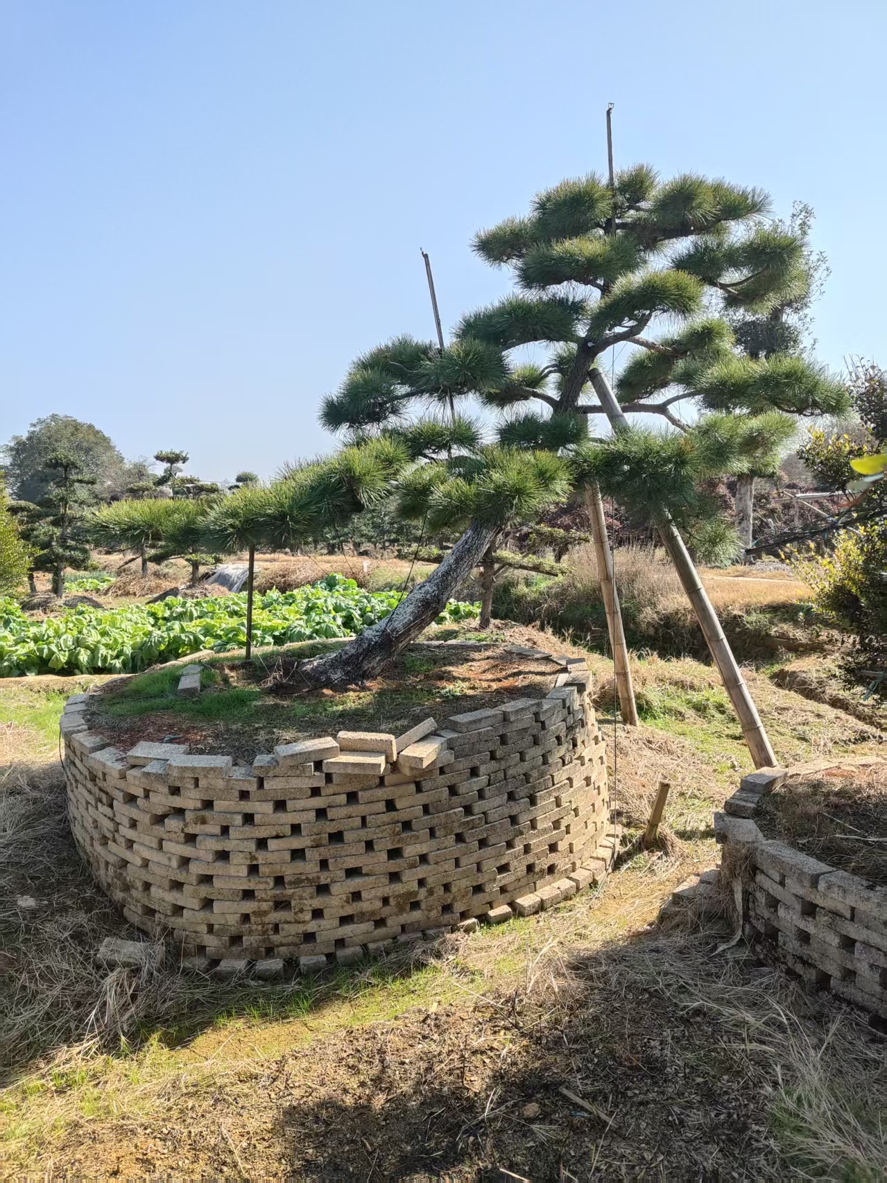 ���ͺ���