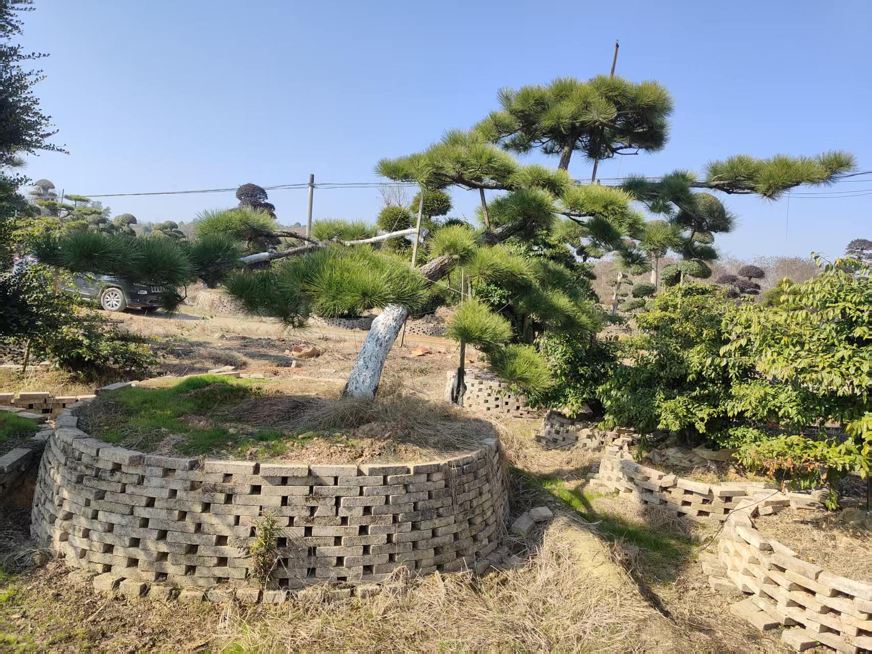 ���ͺ���