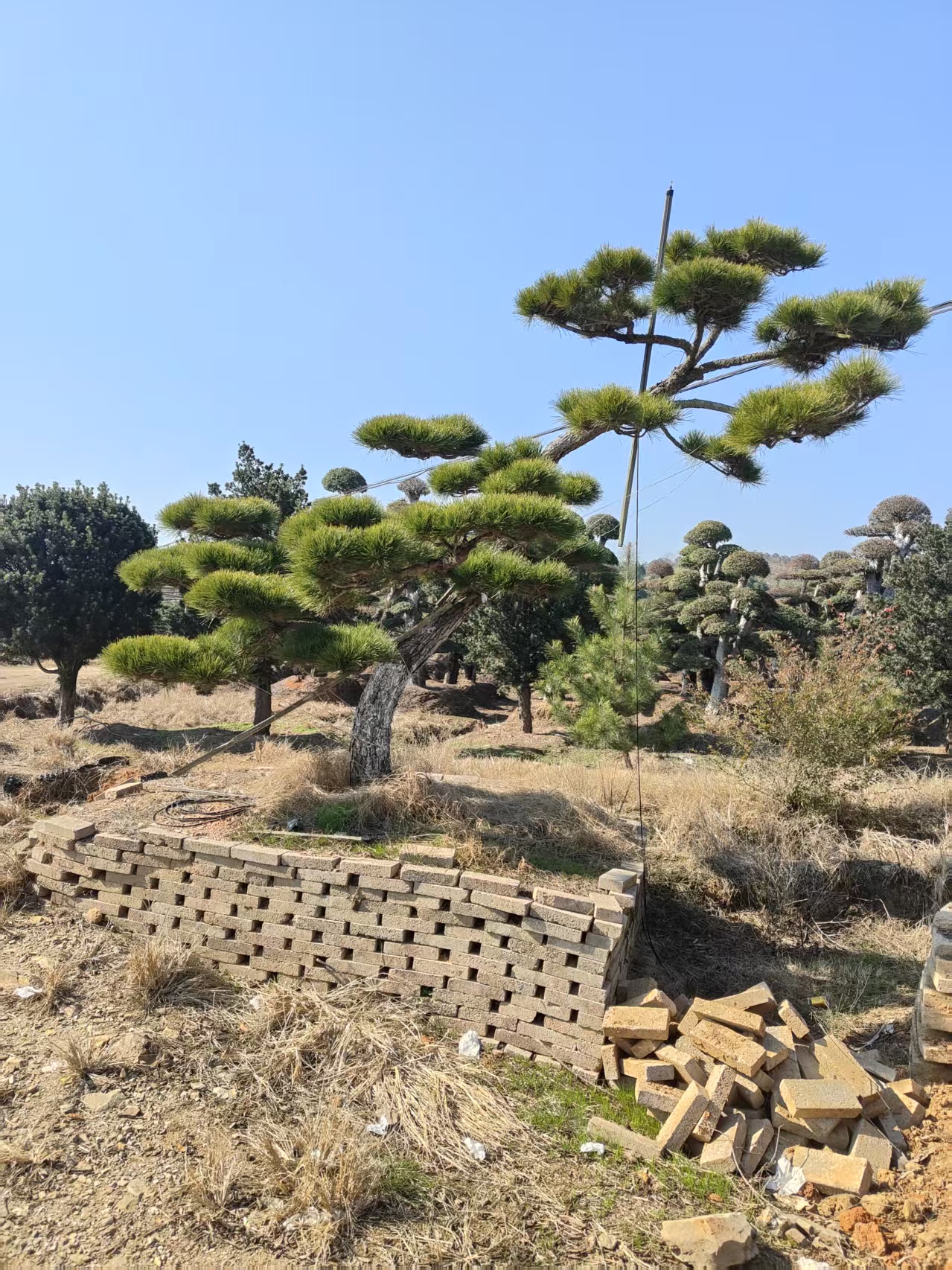 ���ͺ���