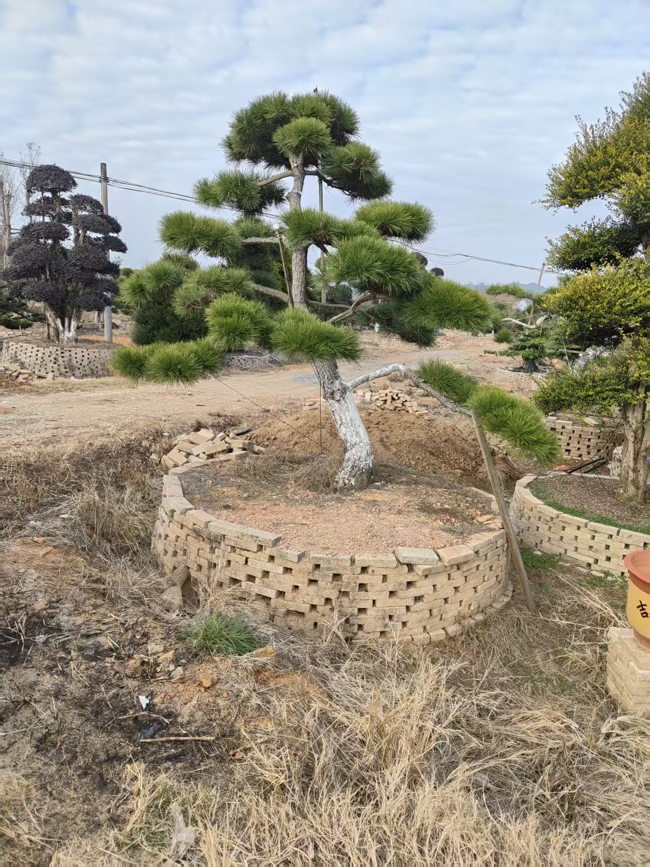 ���ͺ���